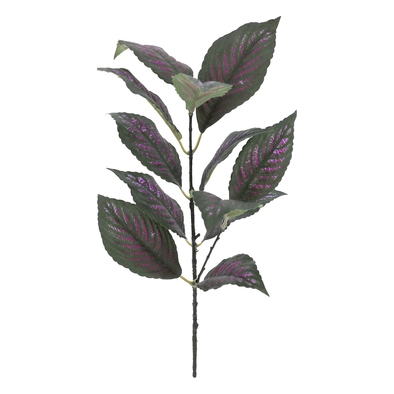 15" Perilepta Dyeriana Leaf Pick by Ashland®